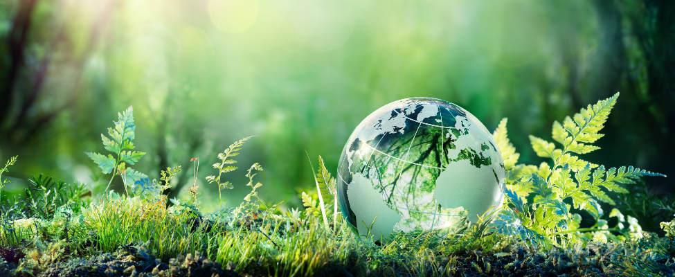 CDP víz- és szén-dioxid-felülvizsgálat – szén-dioxid-kibocsátás felülvizsgálat