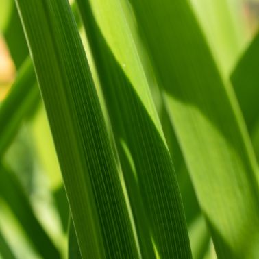 ISO 14001 Környezetirányítási Rendszer: Egy lépés a jobb környezetvédelmi gyakorlatok felé