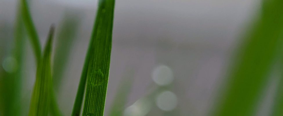 A termék szénlábnyomának ellenőrzése (ISO 14067, PAS 2050)