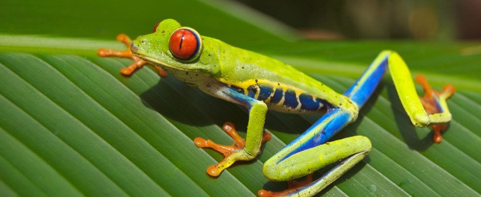 Fenntartható megoldások: Hogyan járul hozzá az ISO 14001 a műanyagszennyezés elleni küzdelemhez