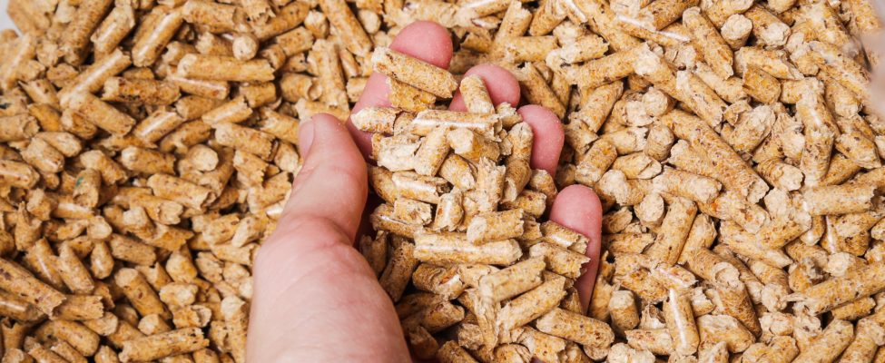 A BM Certification megszerezte az ENplus® Certification akkreditációját